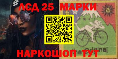 Альфа ПВП Будённовск